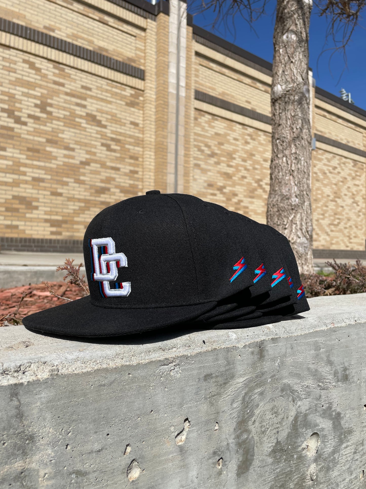 DC Custom SnapBack